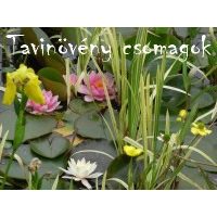 Tavi növény csomagok