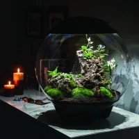 biOrbAIR terráriumok