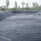 Koi-Fol lágy PVC tófólia - 1,0 mm 1,7 x 25 m (42,5 m2) alapanyag - kivitelezőknek ár/m2