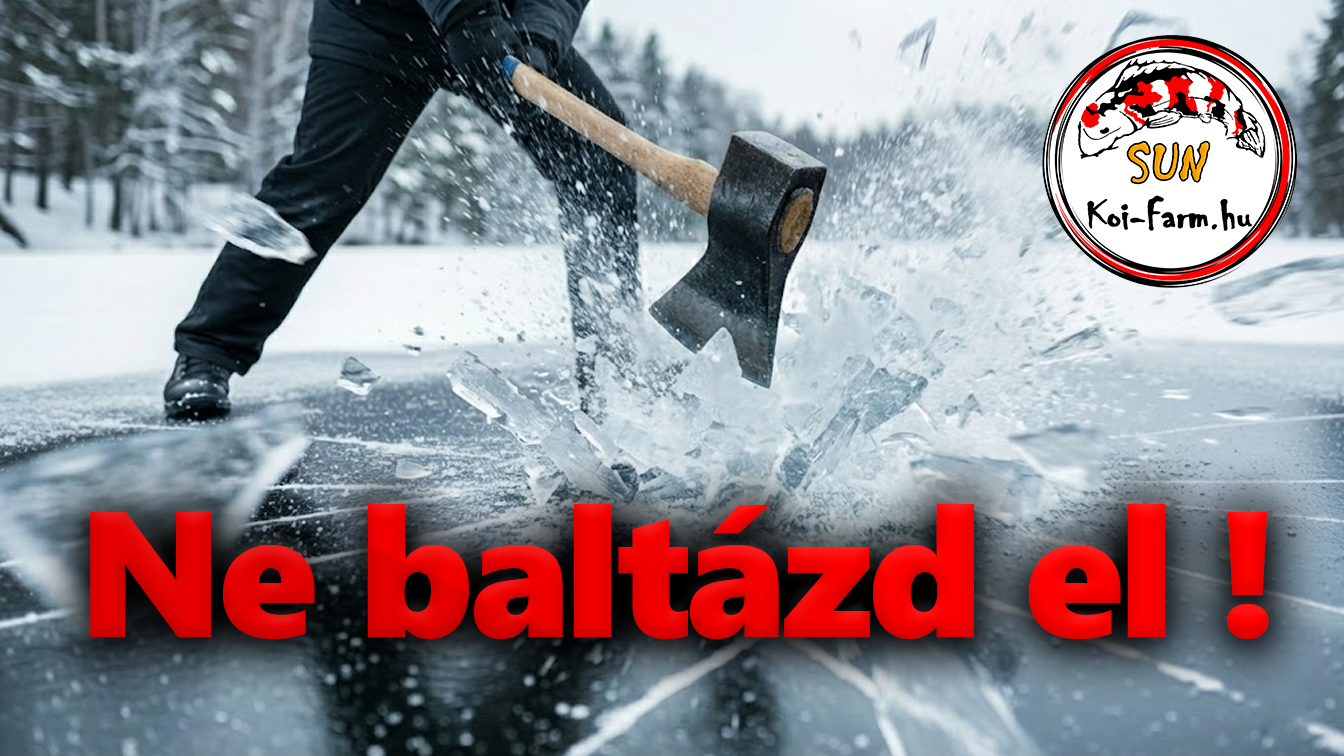Ne baltázd el! Kerti tó lék készítése helyesen ha befagyott a tavad