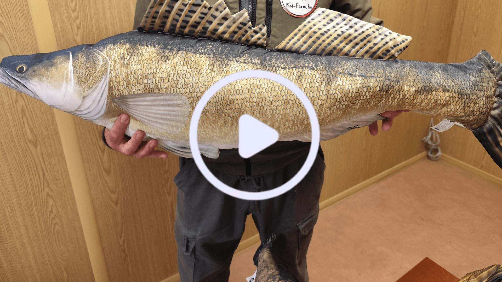 TikTok videó nyitókép: Koi Farm kézműves halpárna