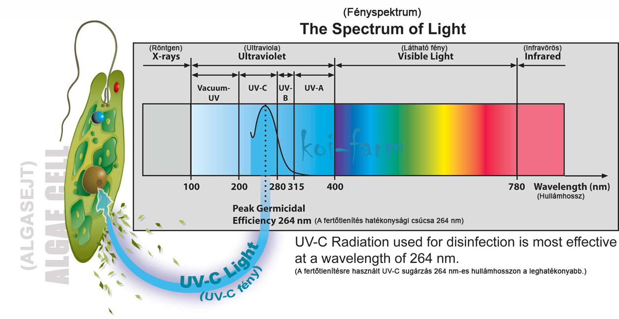 UV-C szűrők