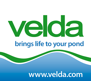 Velda